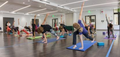 Adults in yoga class